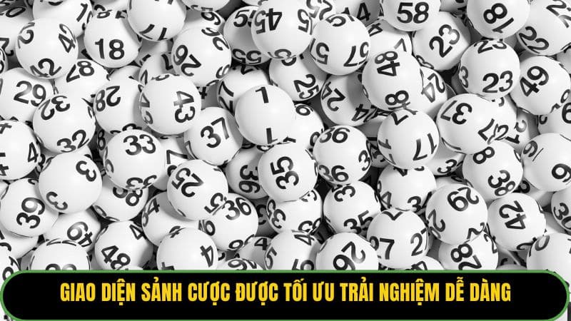 Giao diện sảnh cược được tối ưu trải nghiệm dễ dàng