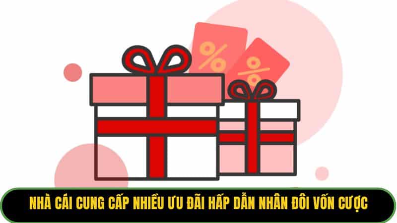 Nhà cái cung cấp nhiều ưu đãi hấp dẫn nhân đôi vốn cược