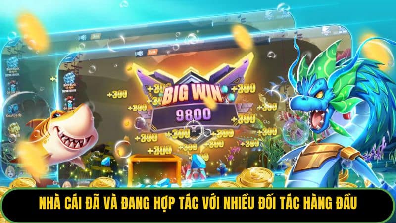 Nhà cái đã và đang hợp tác với nhiều đối tác hàng đầu
